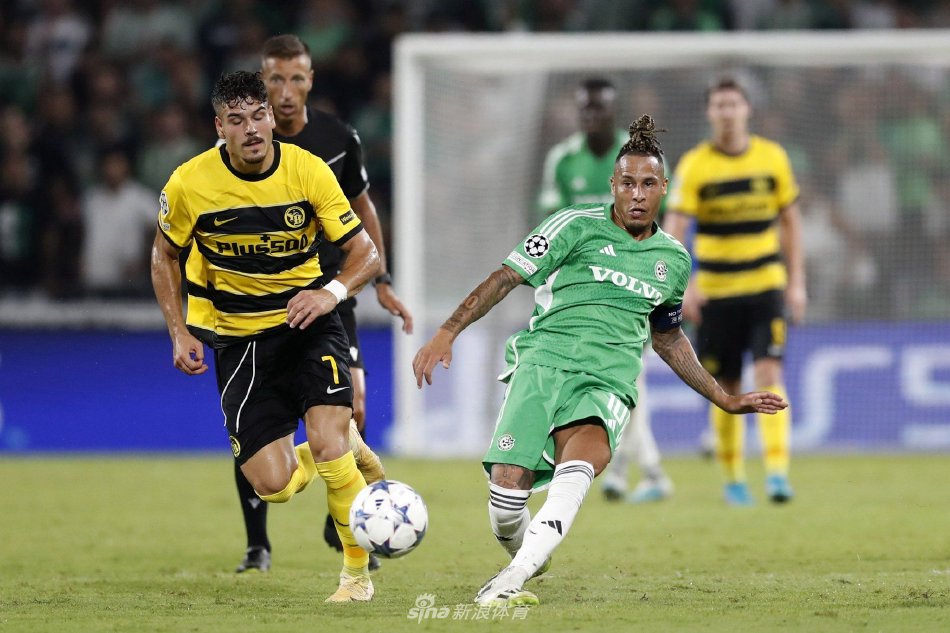 总的来说 总的来说